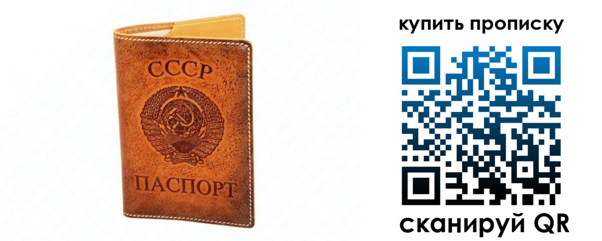 прописка поиск в Мордовии